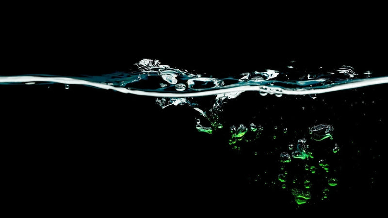 Vesi – elämän virta