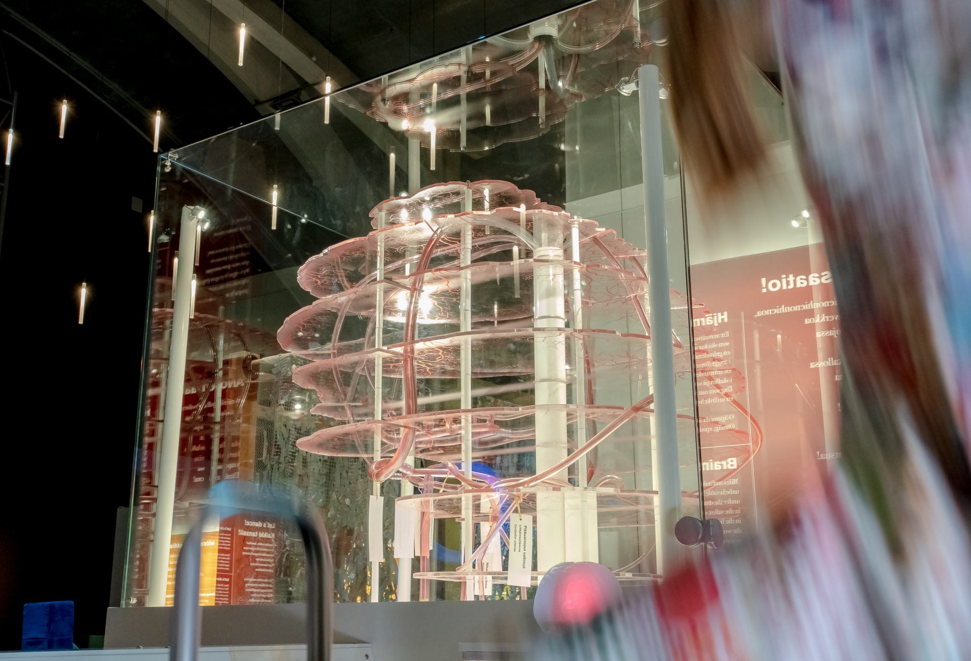 Aivot narikasta! -näyttelystä.