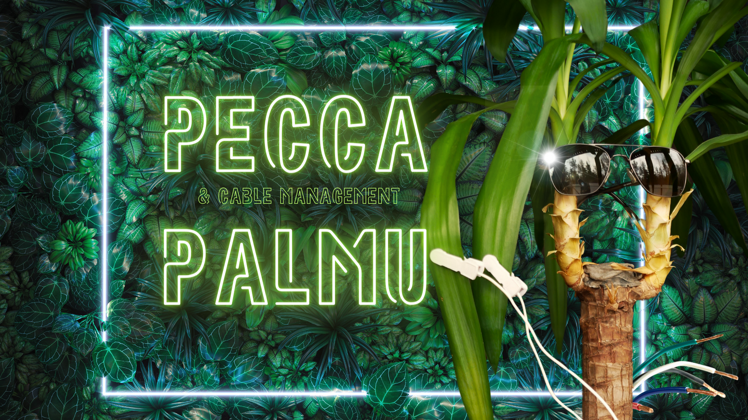 Pecca Palmu & Cable management -kuva