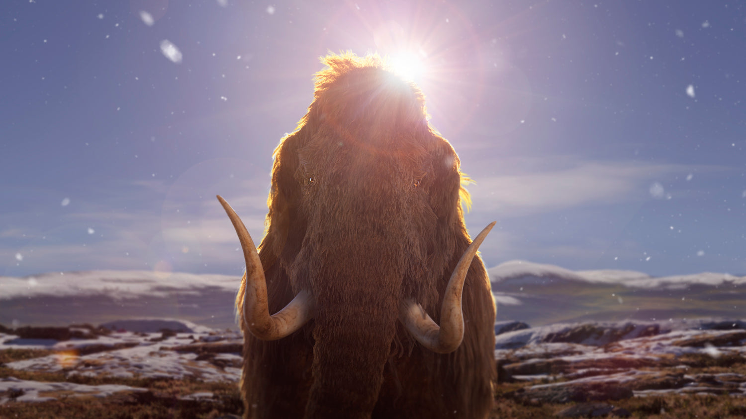 Mammoth.