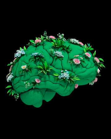 NOX-tiedeilta (K18) 27.3.