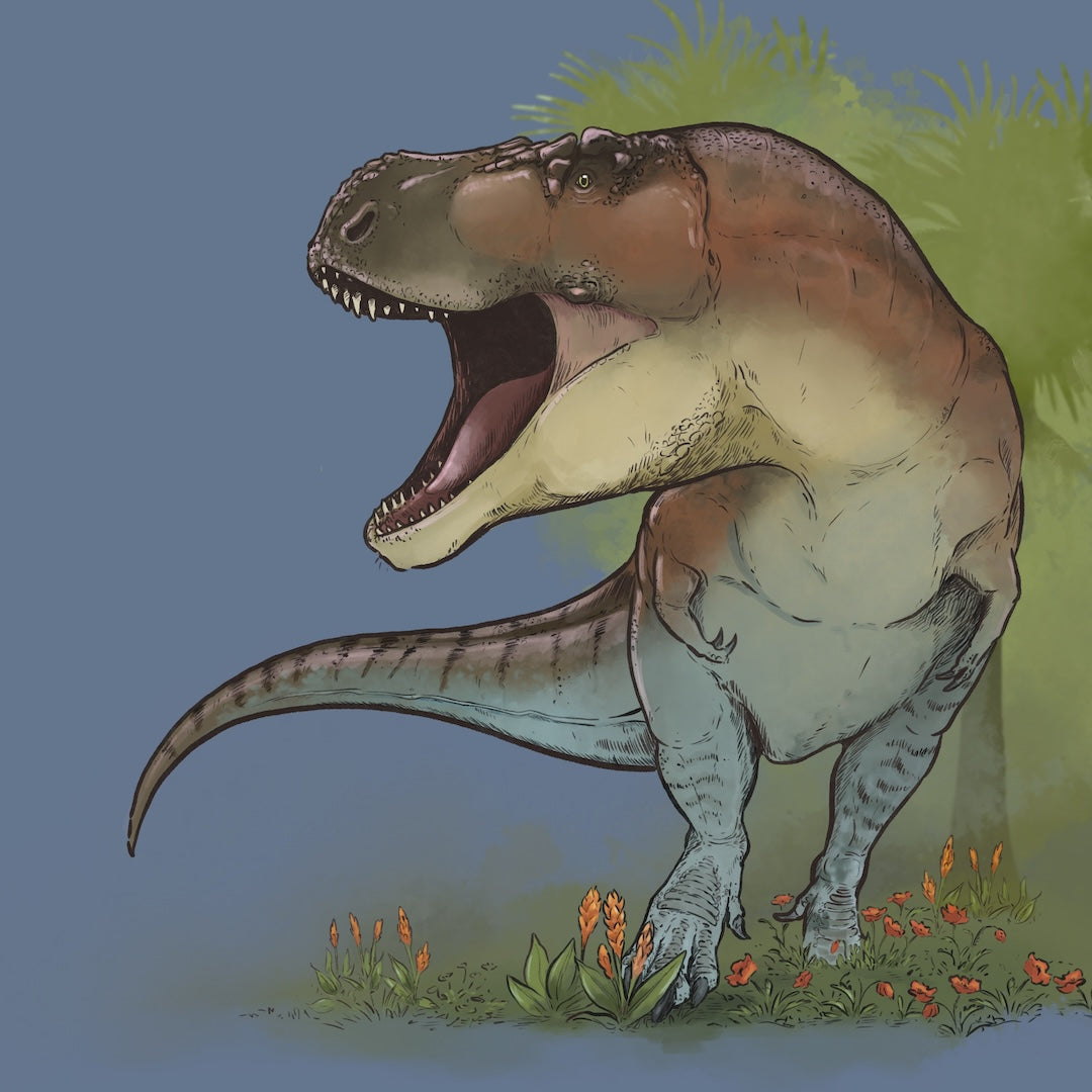 Kuvitettu Tyrannosaurus Rex. 