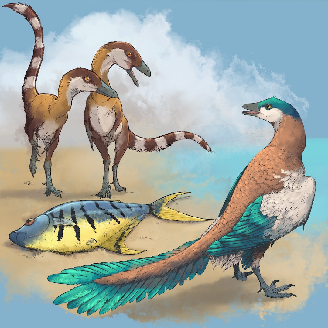 Kuvitettu kala hiekassa sekä kolme lintumaista dinosaurusta.