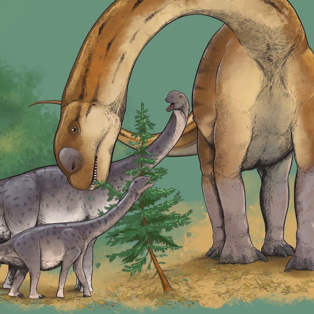 Kolme kuvitettua dinosaurusta syövät lehtiä kuusesta.